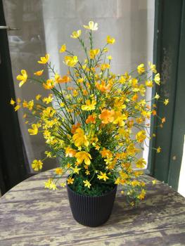 Gypsophila Busch ca. 43cm gelbe Blüten Lieferung im schönen Topf